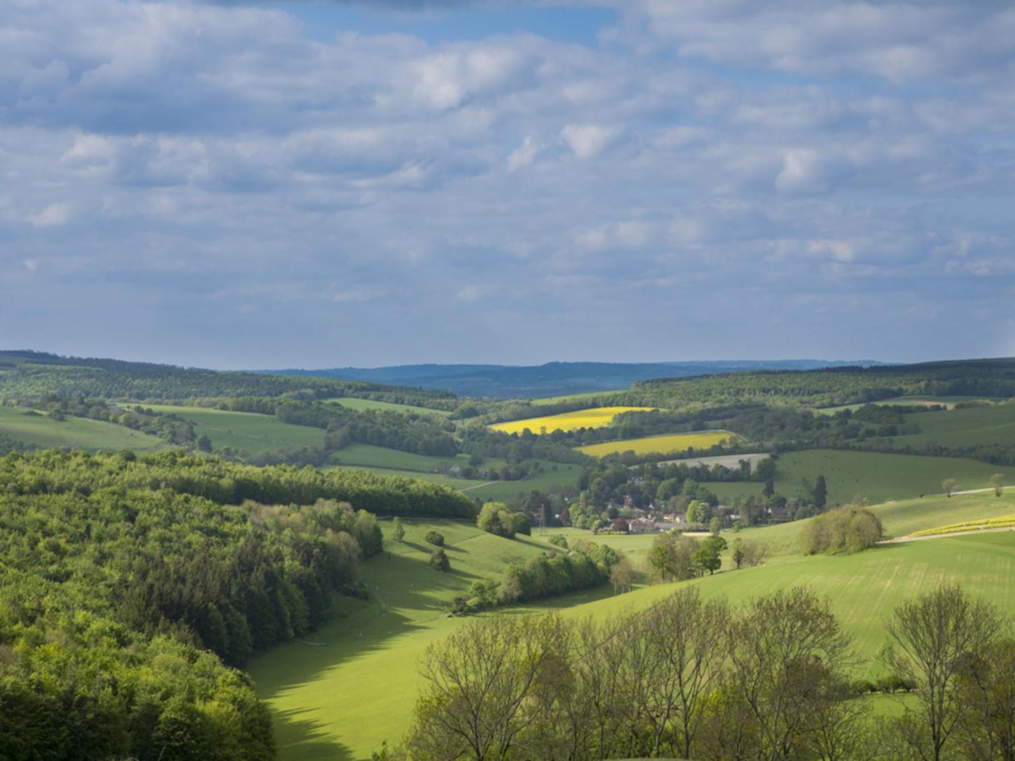 Pass The Keys Charming Downland Cottage Чичестер Экстерьер фото